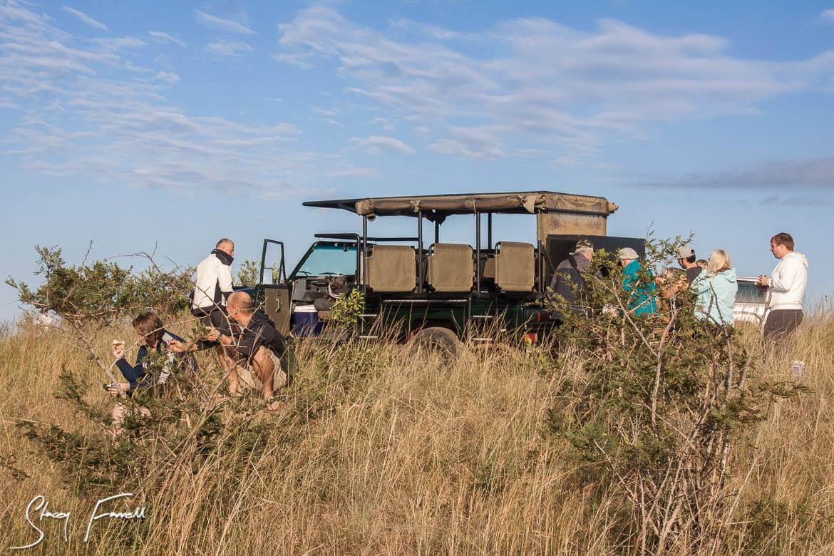 world heritage half day safari tour south africa