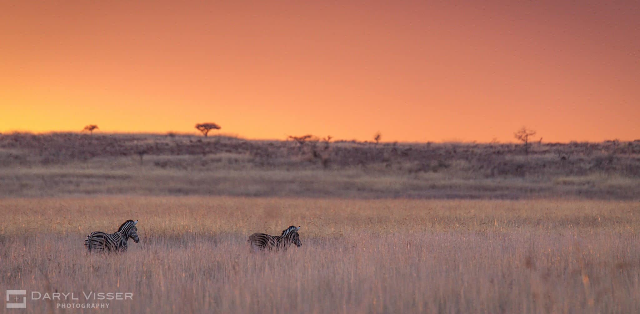 south african game reserves hluhluwe game reserve