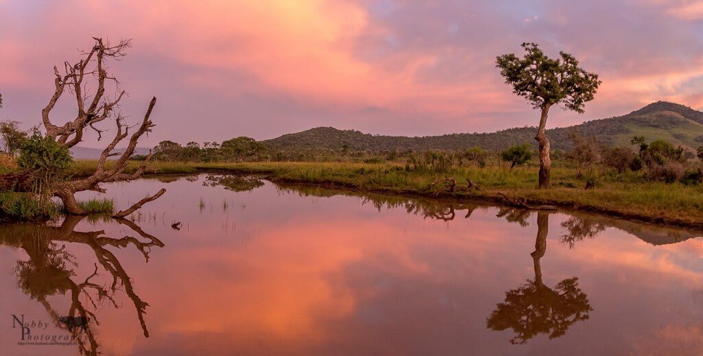 imfolozi south africa
