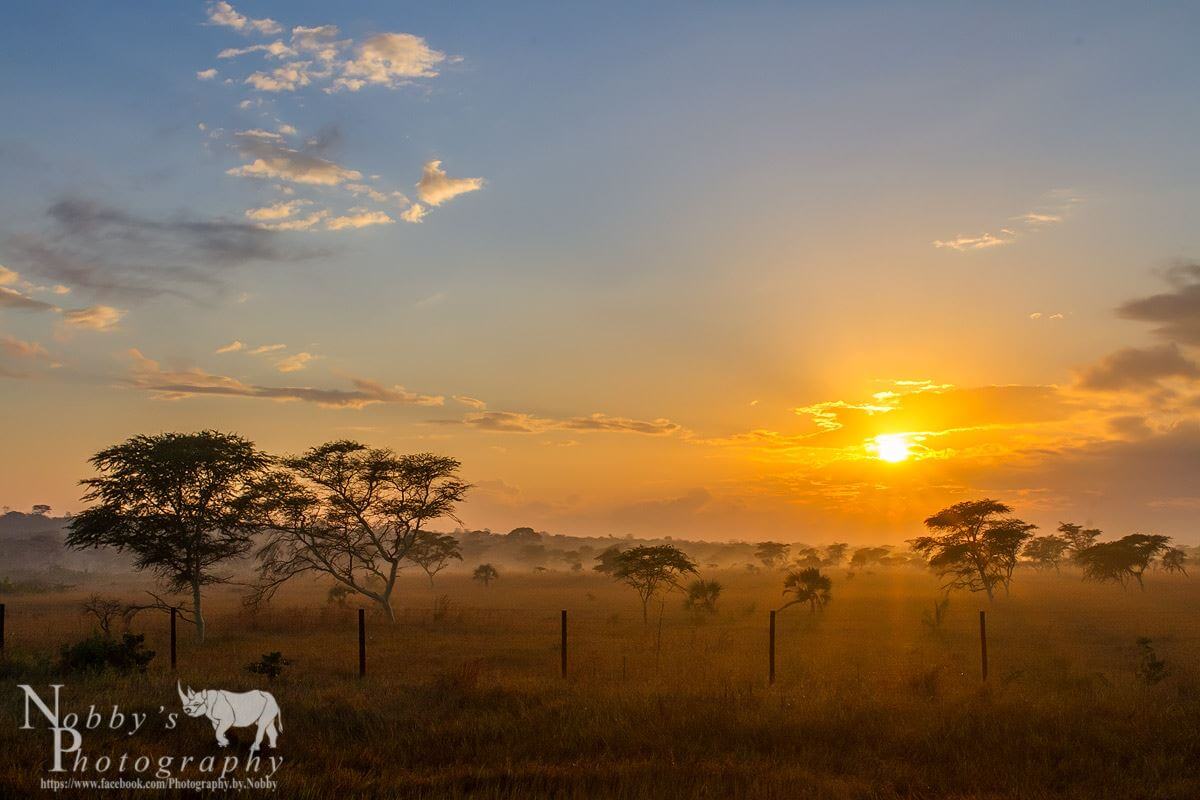 2 Night Hluhluwe Safari Package