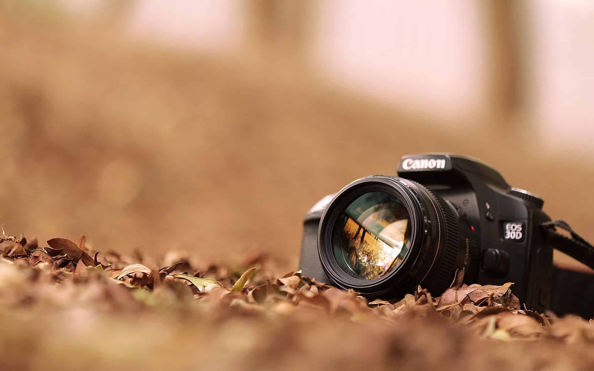 safari self drive photographic tips