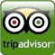 tripadvisor reviews