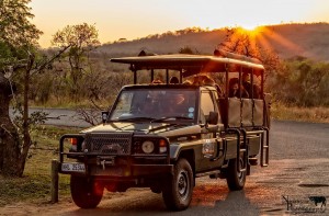 3 night hluhluwe safari package