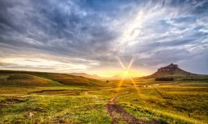zululand game reserve day safari options