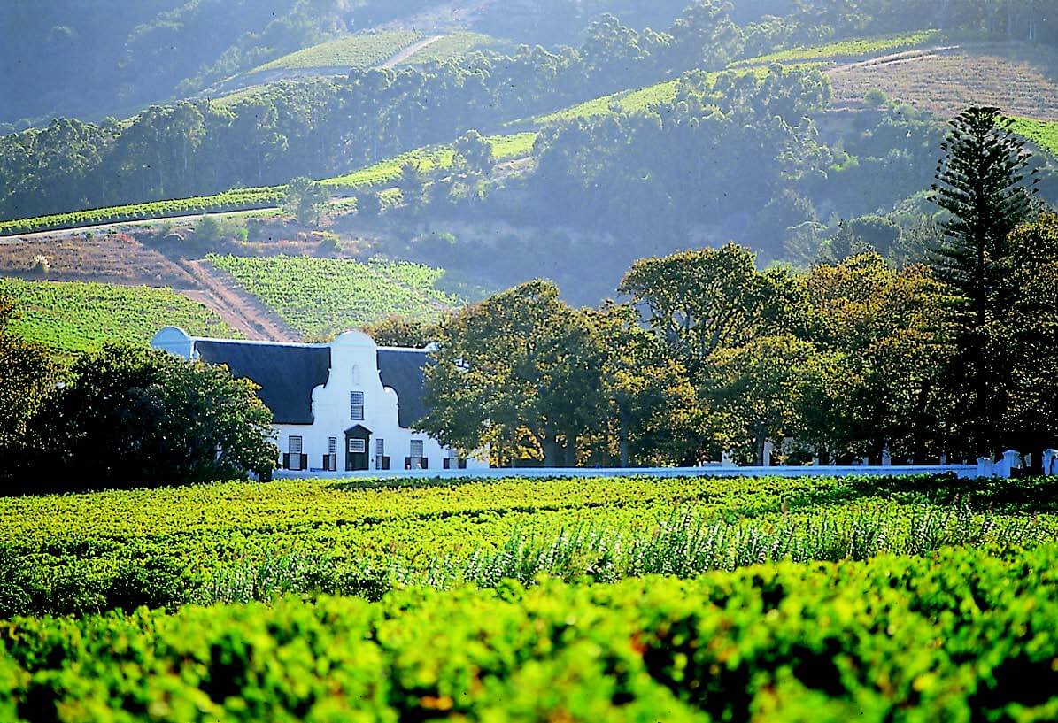 stellenbosch wine tours