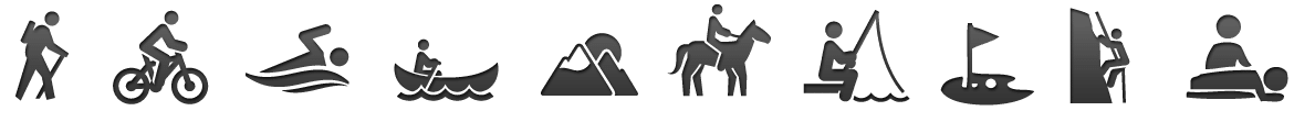 activities-icon