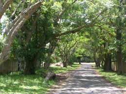 distance kwambonambi to hluhluwe