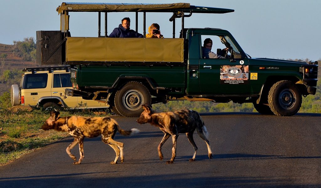 Durban Day Safari Tours 1 durban safaris tours