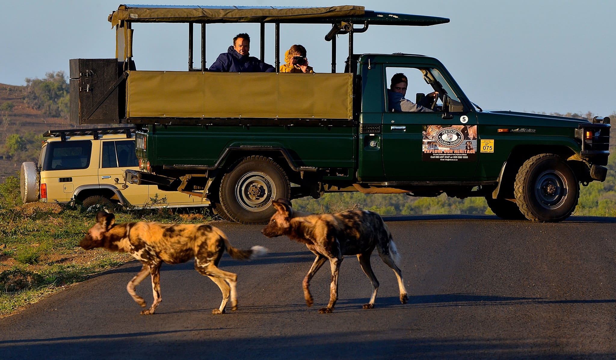 Half Day Hluhluwe Umfolozi Safari