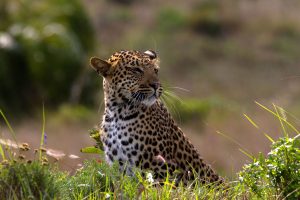 Durban Safaris 4 isimangaliso wetland park safari