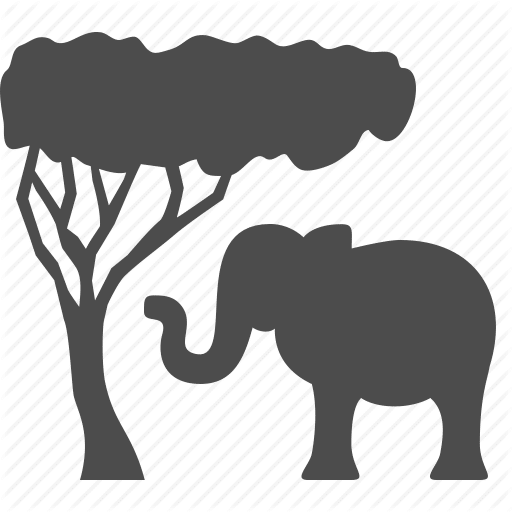viewing with open game drive safari vehicle