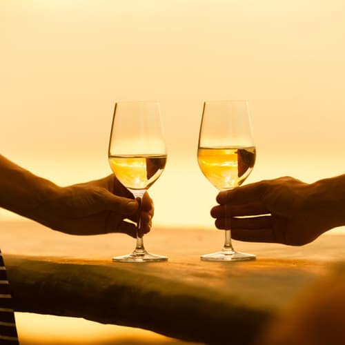 stellenbosch wine tasting