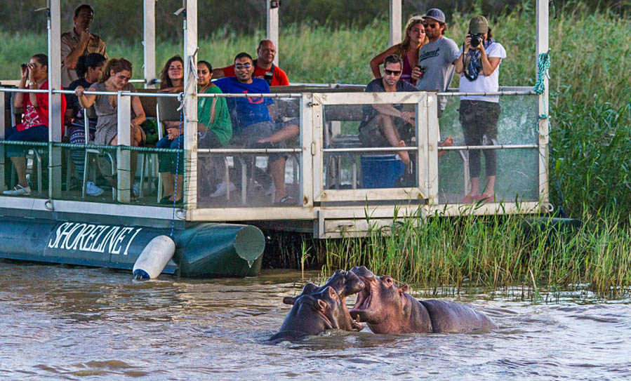 half day safari south africa kwazulu natal