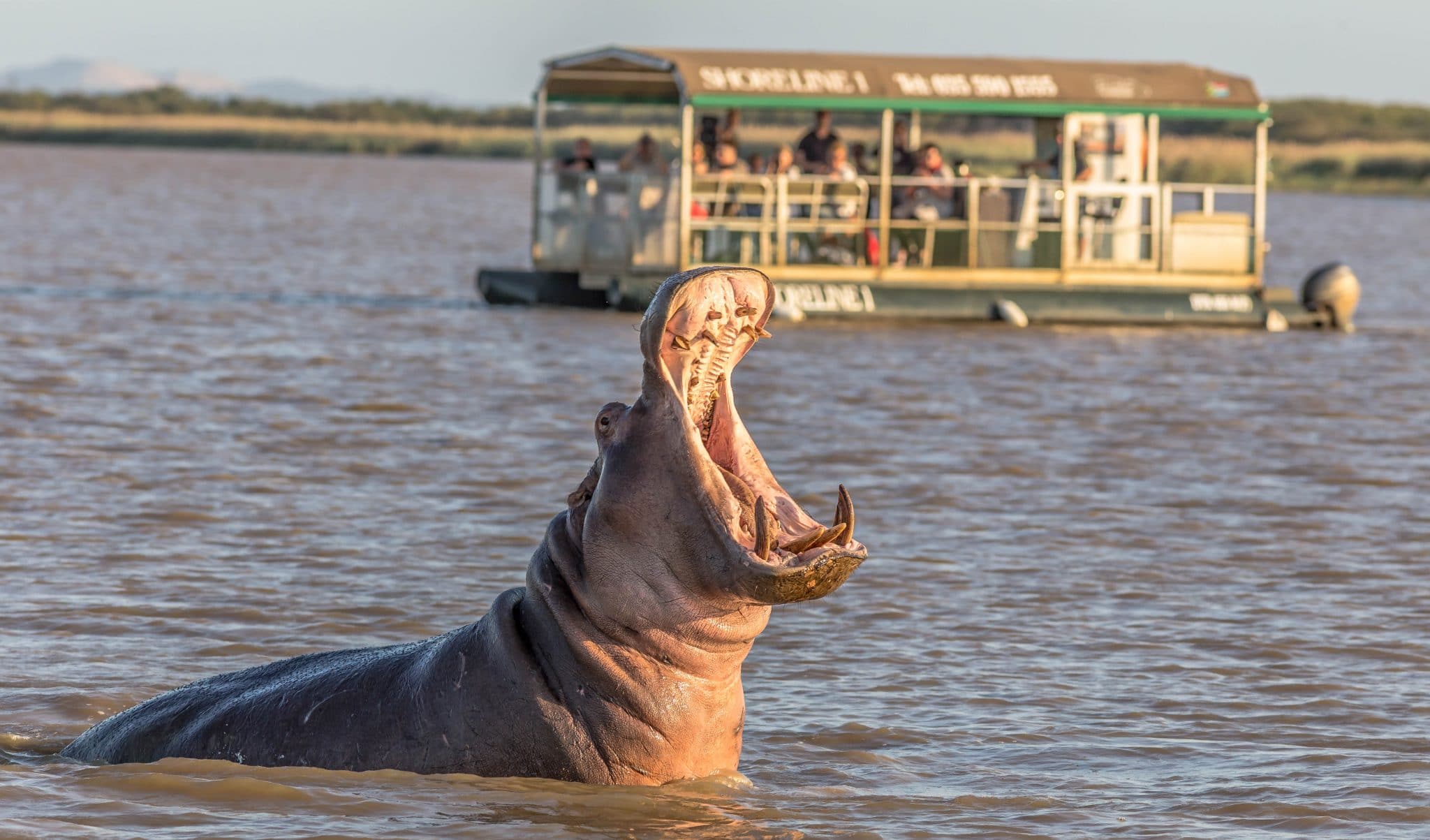 boat safari st lucia south africa