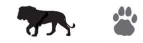 lion and foot print