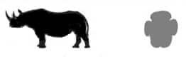 rhino and print