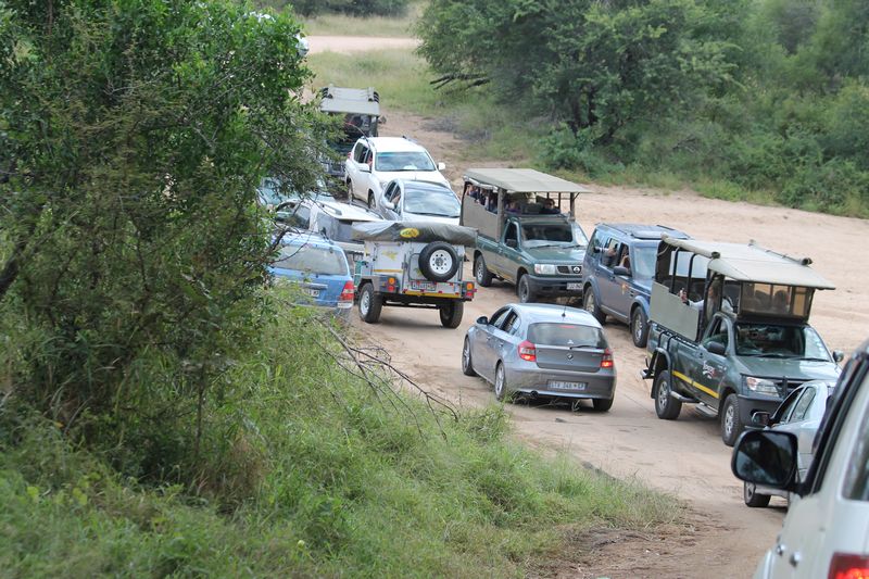 Self Drive Safari 3 Self Drive Safari