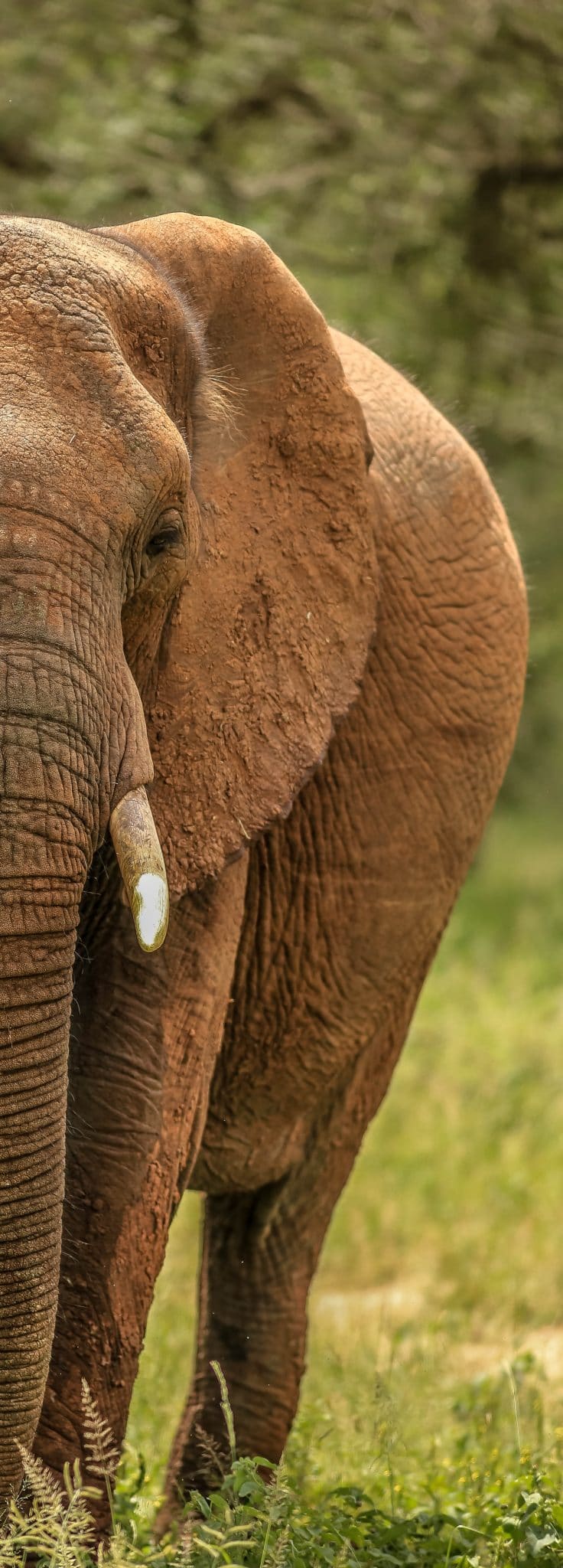 tours and safaris south africa