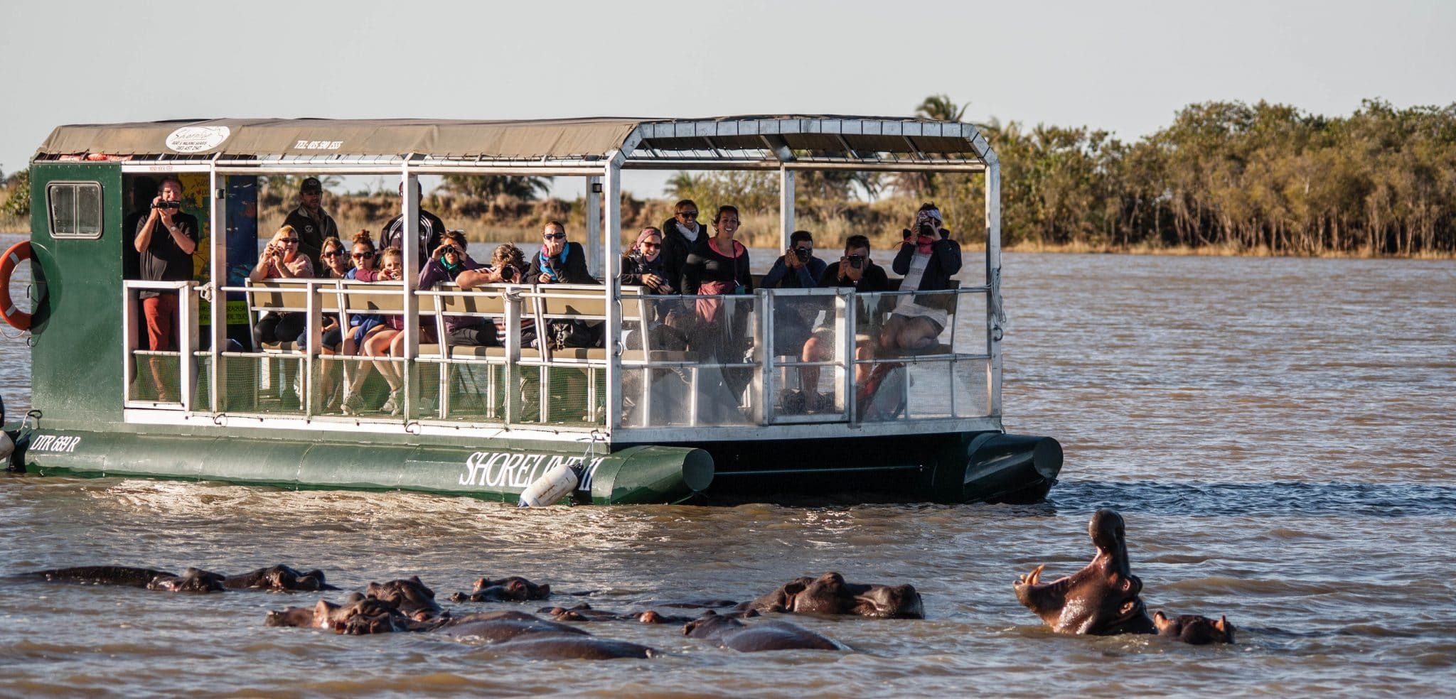st lucia south africa hippos