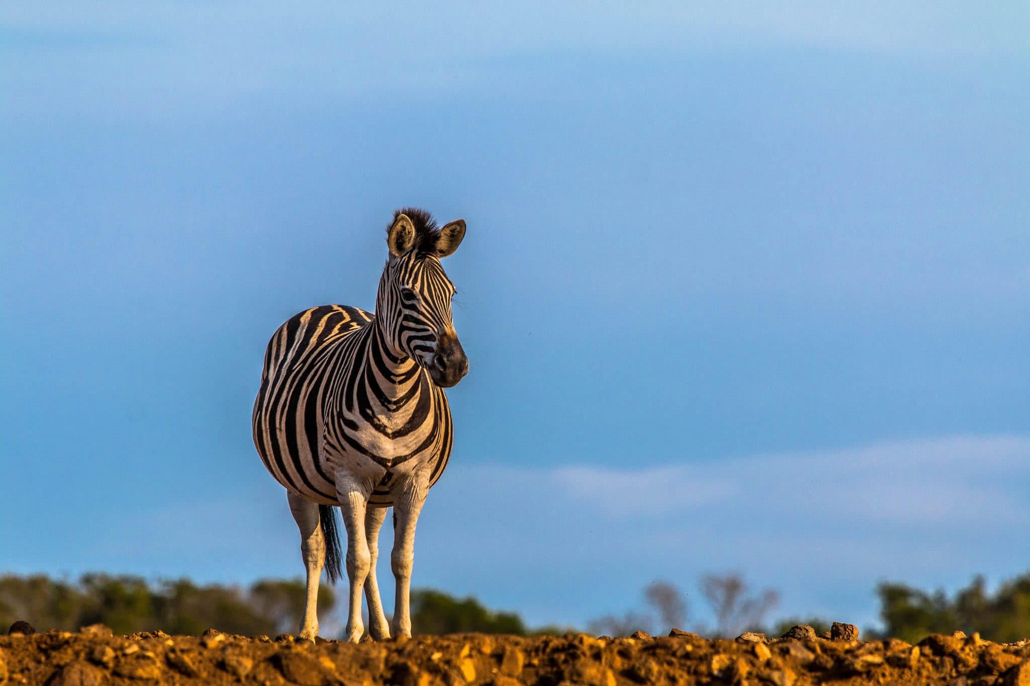 self drive tips hluhluwe