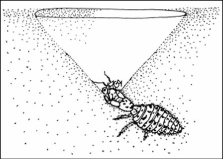 funnel