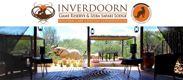 big 5 safaris cape town