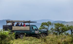 7 night safari package south africa