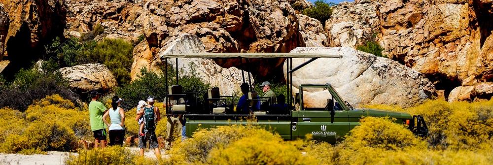 cape town safaris