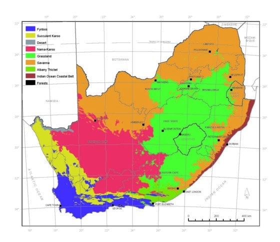 south africa biomes map