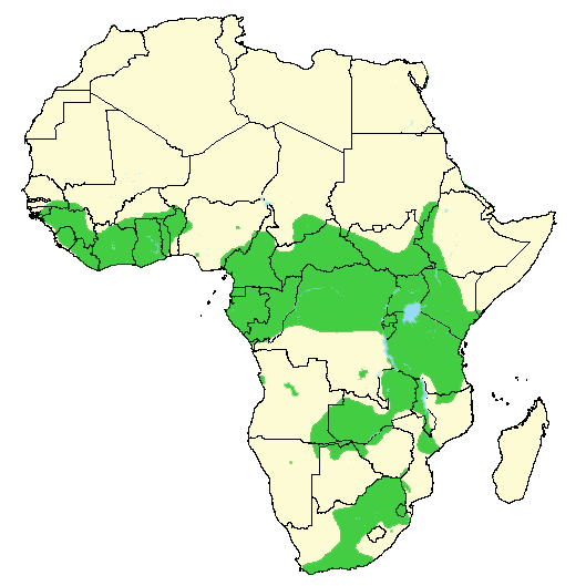map distribution of buffalo throughout Africa
