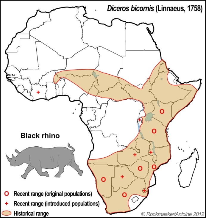 black rhinos map in africa