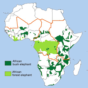 african elephant distribution in africa map