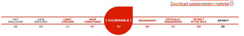 lion conservational status (vulnerable)