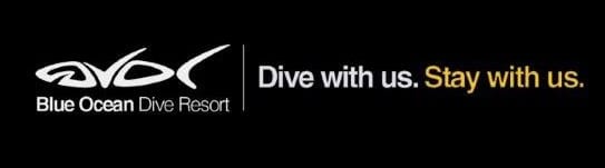 blue ocean dive resort