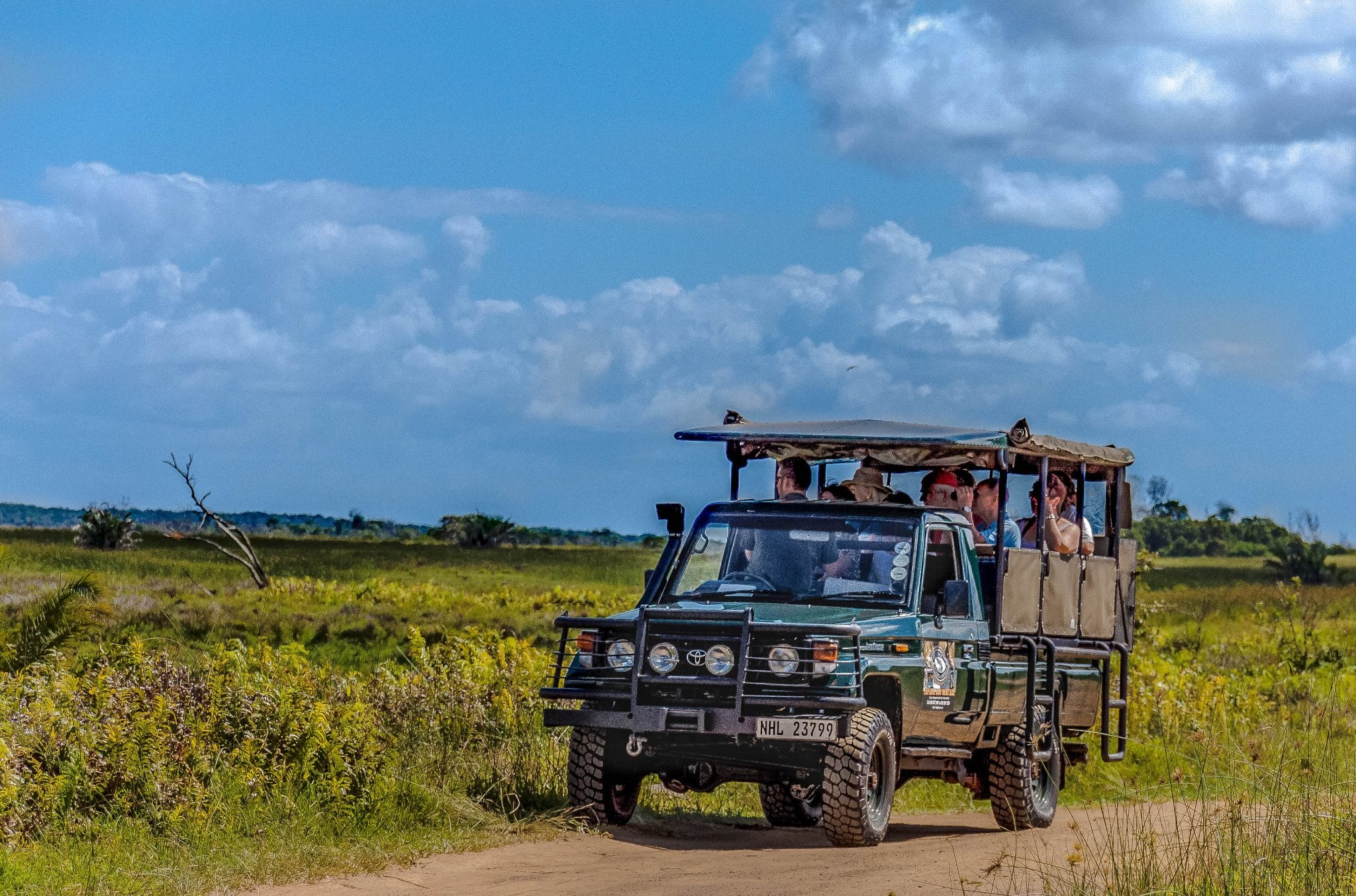 Hluhluwe Imfolozi Game Reserve Game Drive