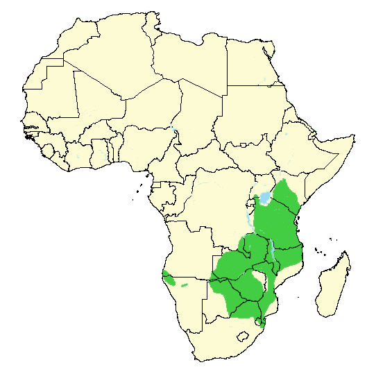 impala animal distribution map in africa
