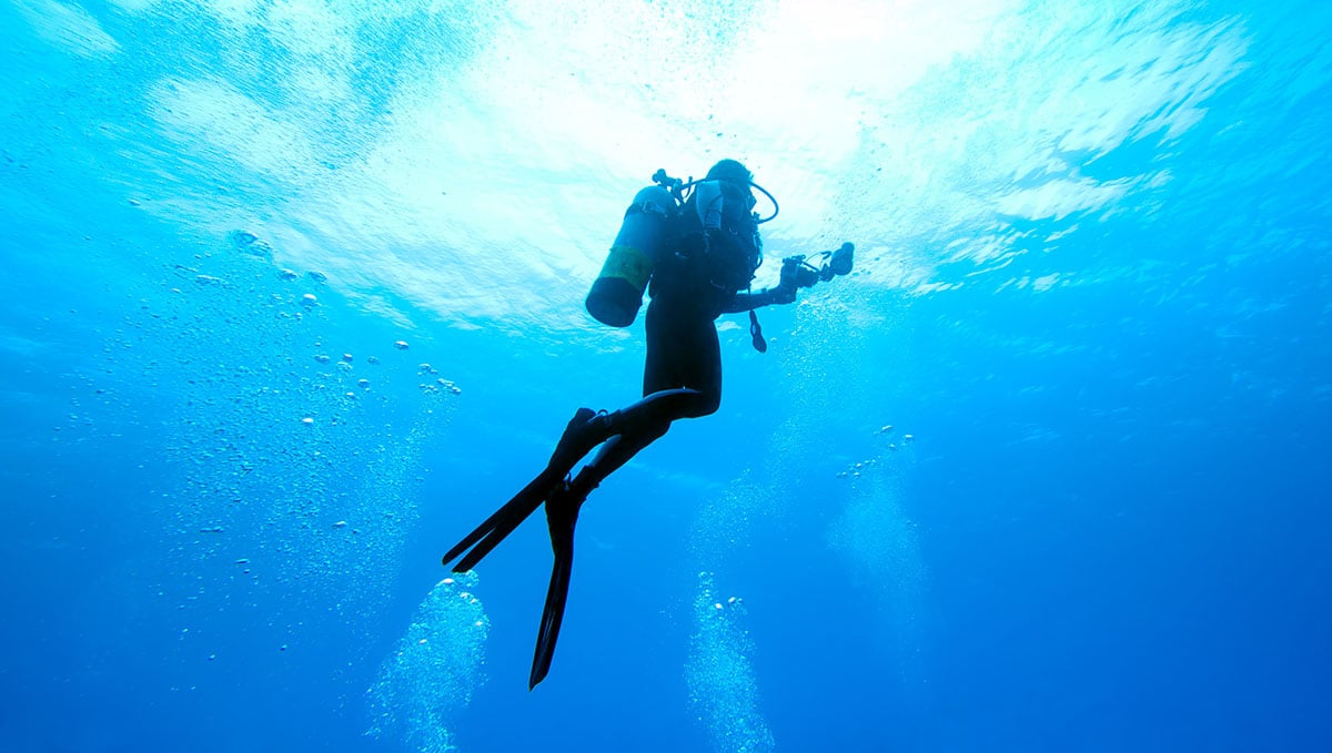 Safari and Scuba Holiday Packages Durban
