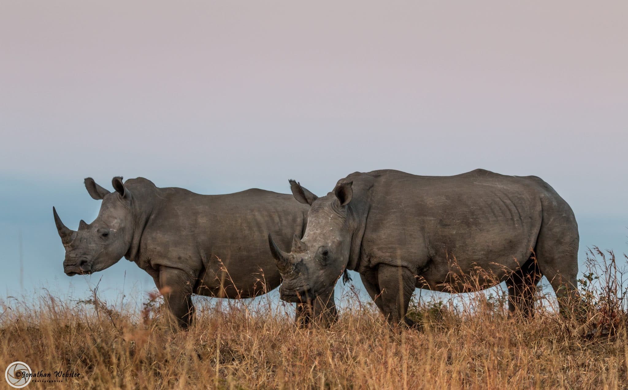 3 night hluhluwe umfolozi safari package