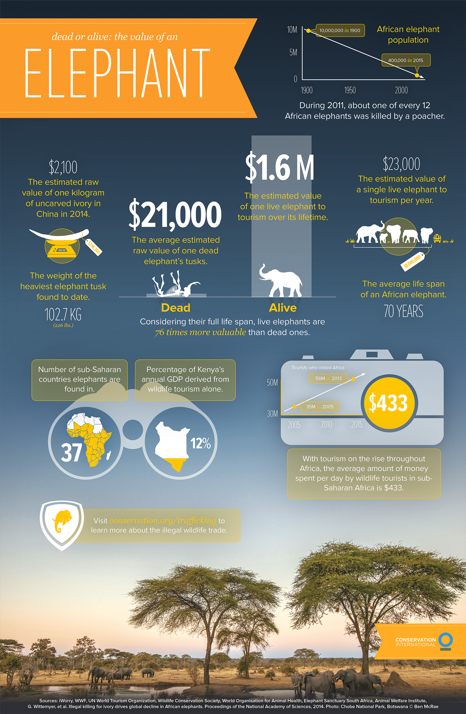 elephant infographic